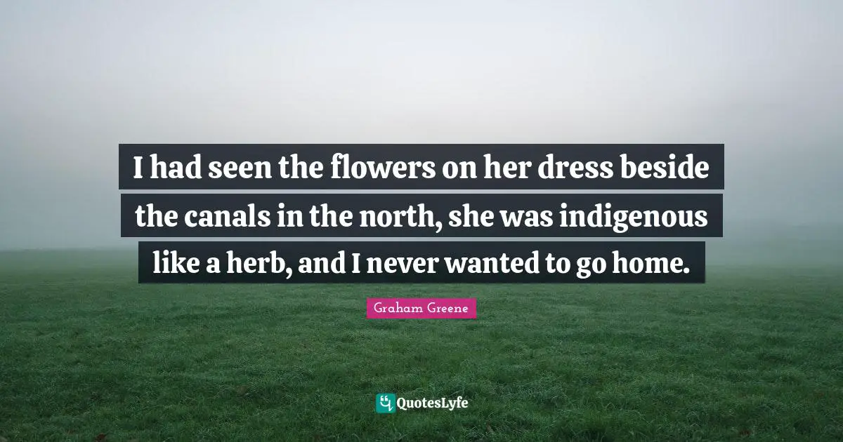 I had seen the flowers on her dress beside the canals in the north, she was indigenous like a herb, and I never wanted to go home.