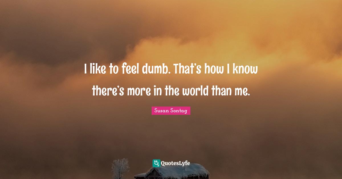 I like to feel dumb. That’s how I know there’s more in the world than me.