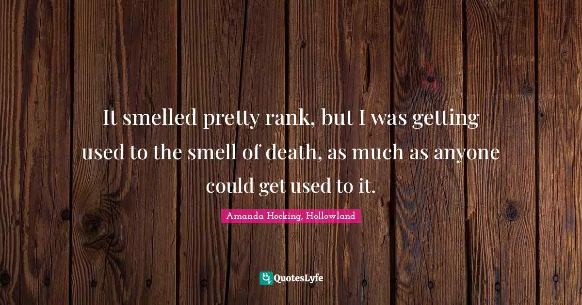 It smelled pretty rank, but I was getting used to the smell of death, as much as anyone could get used to it.