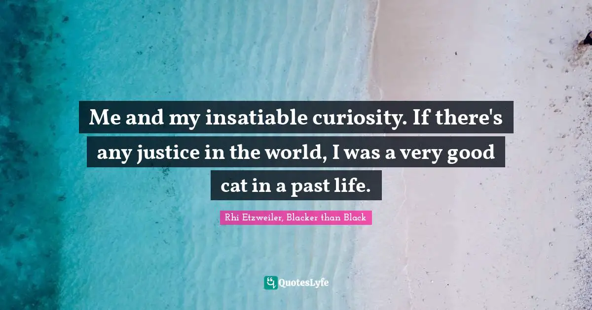 Me and my insatiable curiosity. If there's any justice in the world, I was a very good cat in a past life.