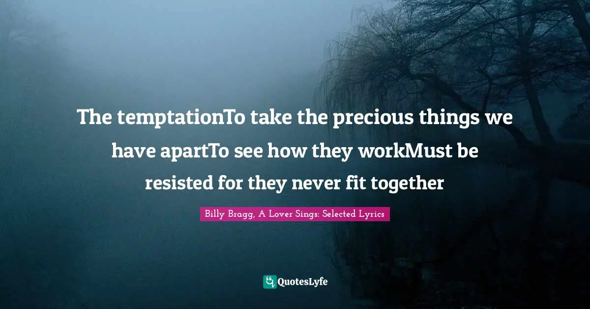 The temptationTo take the precious things we have apartTo see how they workMust be resisted for they never fit together