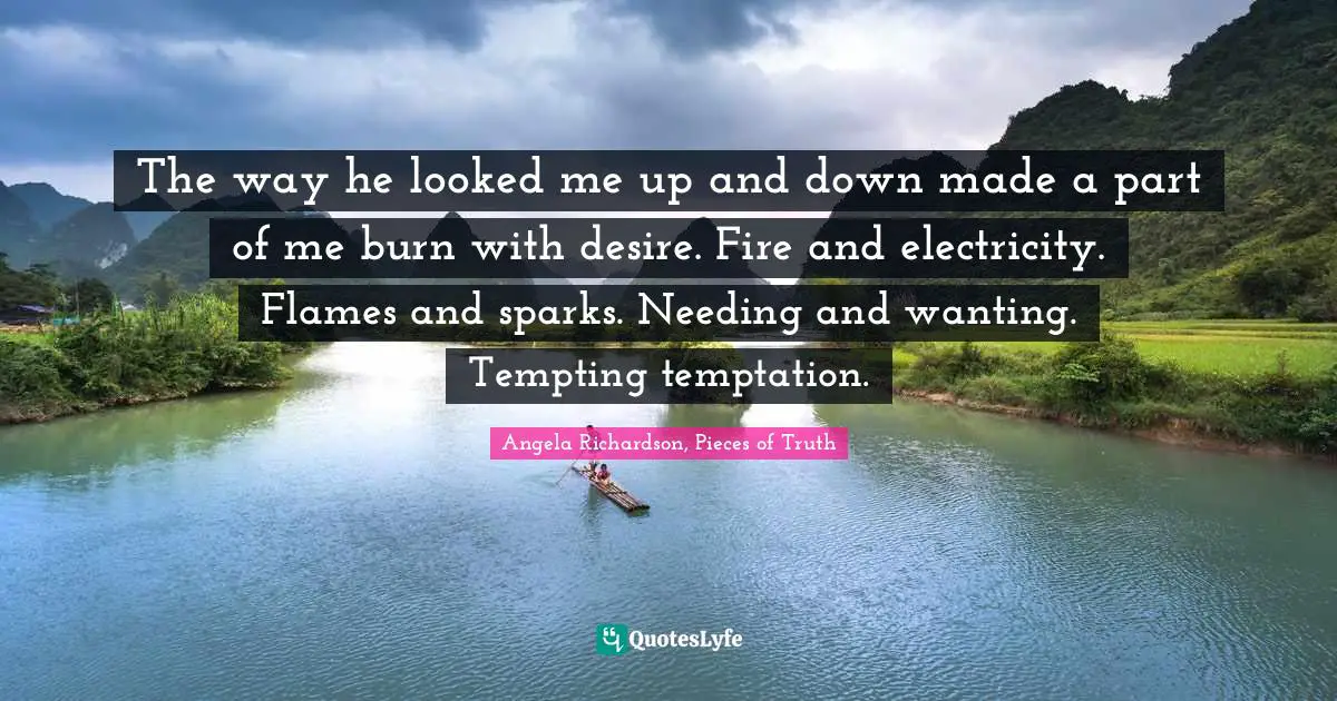 The way he looked me up and down made a part of me burn with desire. Fire and electricity. Flames and sparks. Needing and wanting. Tempting temptation.
