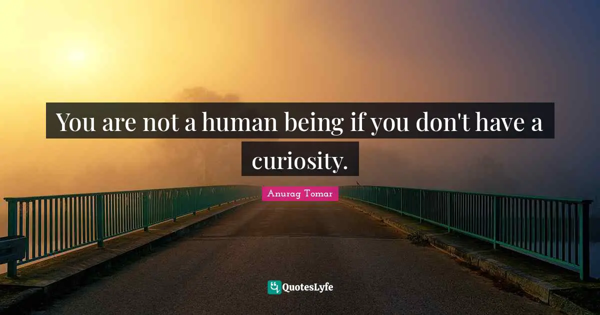 You are not a human being if you don't have a curiosity.