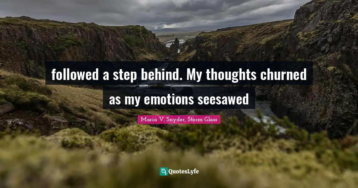 followed a step behind. My thoughts churned as my emotions seesawed