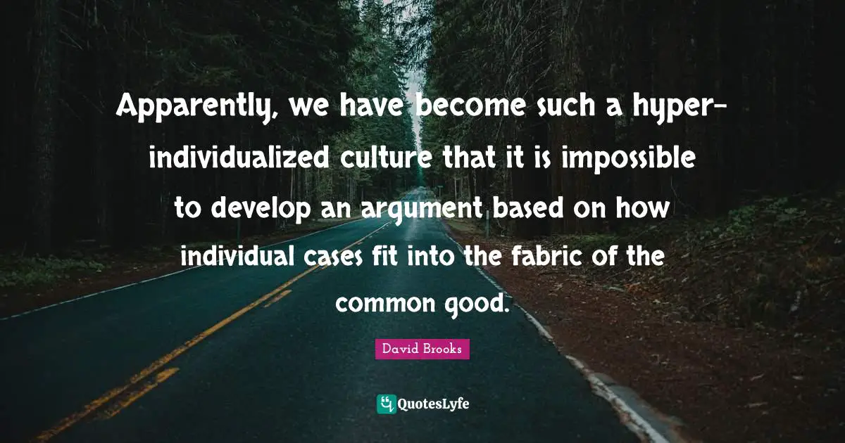 Apparently, we have become such a hyper-individualized culture that it is impossible to develop an argument based on how individual cases fit into the fabric of the common good.