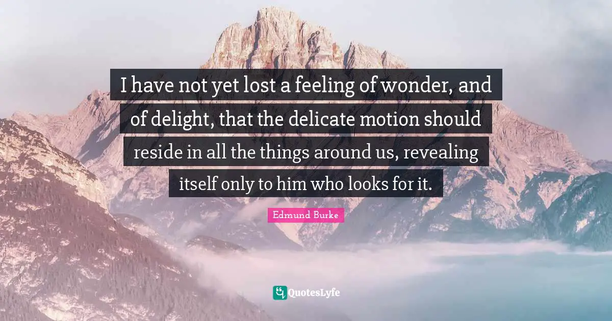 Edmund Burke Quotes: I have not yet lost a feeling of wonder, and of delight, that the delicate motion should reside in all the things around us, revealing itself only to him who looks for it.
