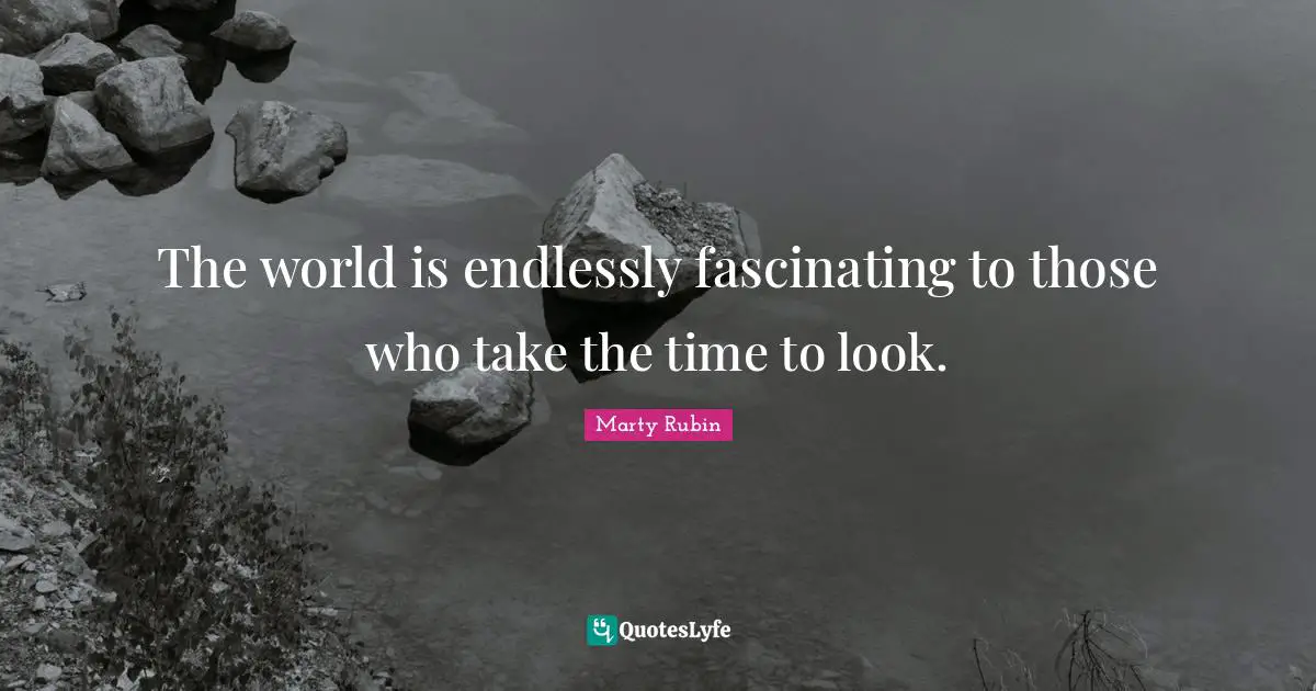 The world is endlessly fascinating to those who take the time to look.