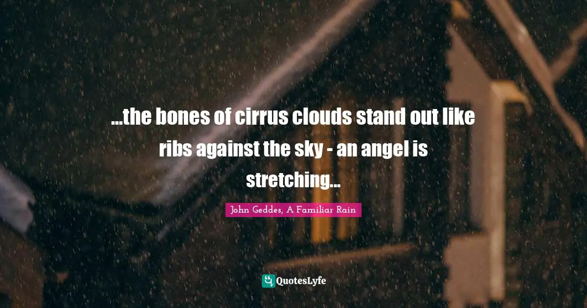 ...the bones of cirrus clouds stand out like ribs against the sky - an angel is stretching...
