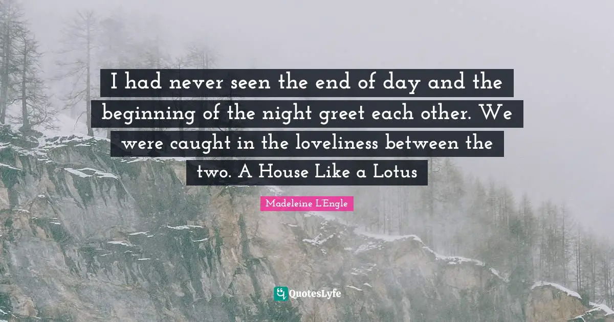 I had never seen the end of day and the beginning of the night greet each other. We were caught in the loveliness between the two. A House Like a Lotus