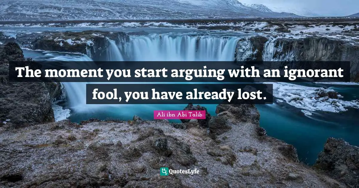 The moment you start arguing with an ignorant fool, you have already lost.