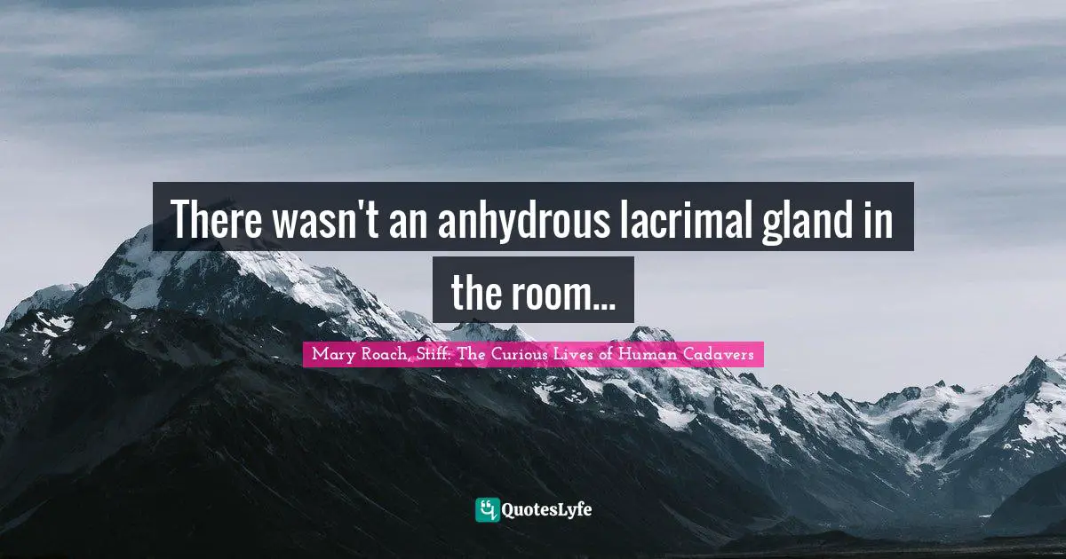 Mary Roach, Stiff: The Curious Lives of Human Cadavers Quotes: There wasn't an anhydrous lacrimal gland in the room...