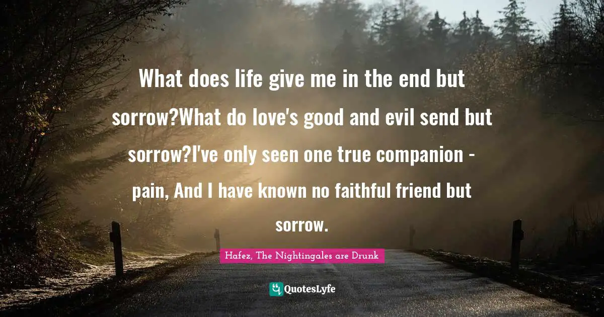 What does life give me in the end but sorrow?What do love's good and evil send but sorrow?I've only seen one true companion - pain, And I have known no faithful friend but sorrow.