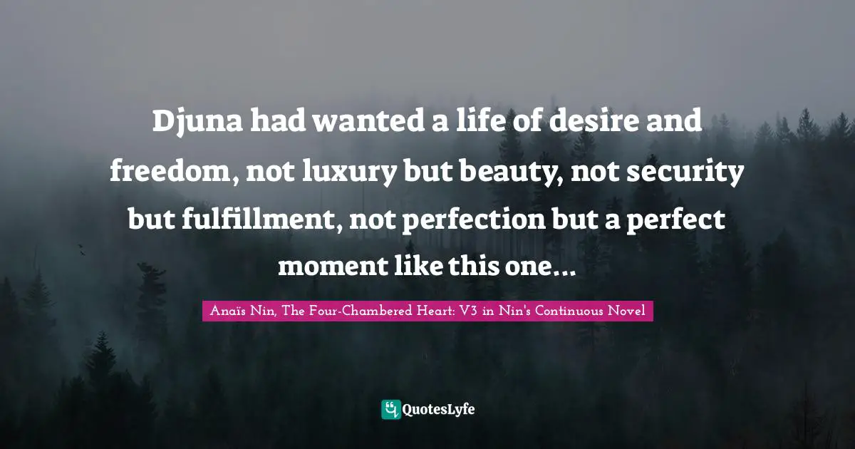 Djuna had wanted a life of desire and freedom, not luxury but beauty, not security but fulfillment, not perfection but a perfect moment like this one...