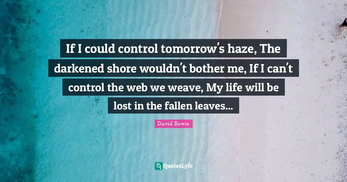 If I could control tomorrow's haze, The darkened shore wouldn't bother me, If I can't control the web we weave, My life will be lost in the fallen leaves...