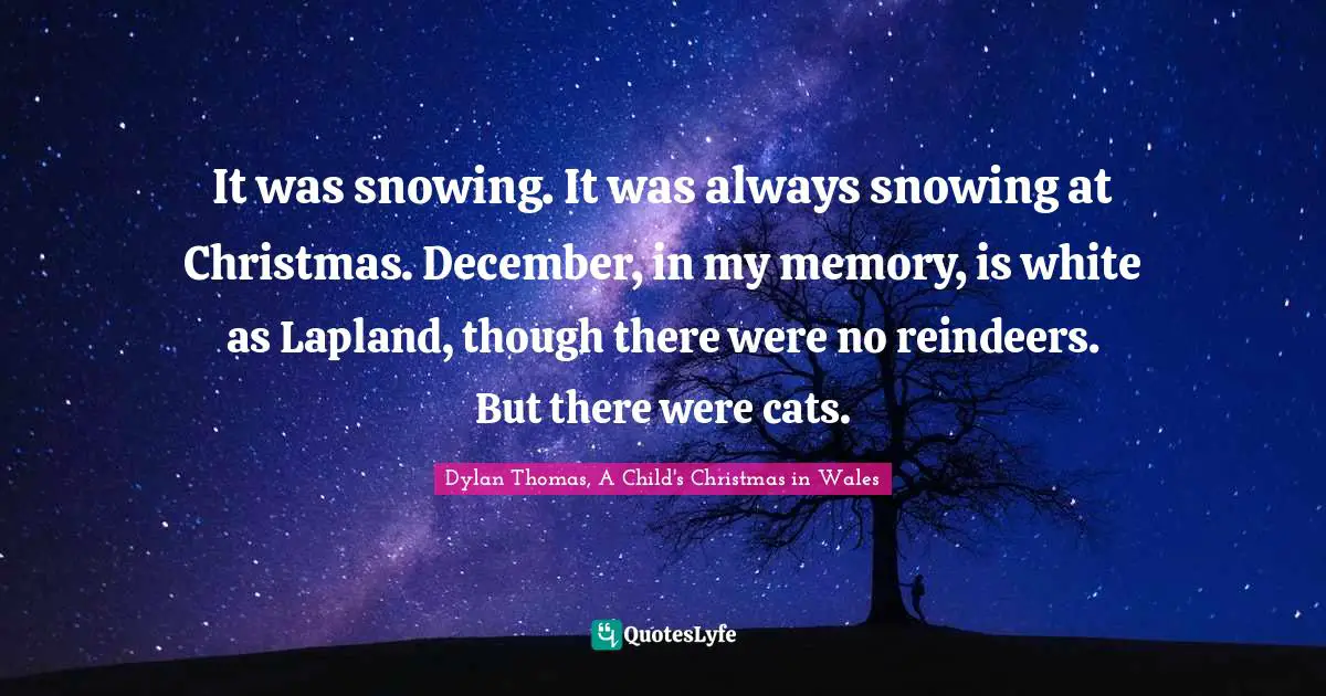 It was snowing. It was always snowing at Christmas. December, in my memory, is white as Lapland, though there were no reindeers. But there were cats.