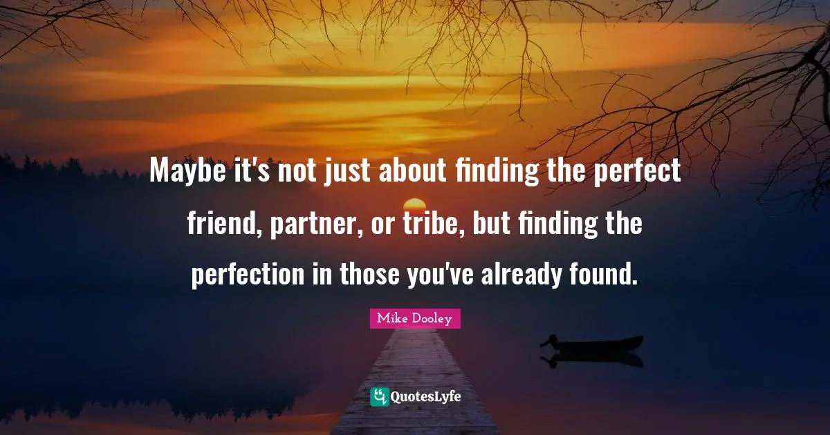 Maybe it's not just about finding the perfect friend, partner, or tribe, but finding the perfection in those you've already found.