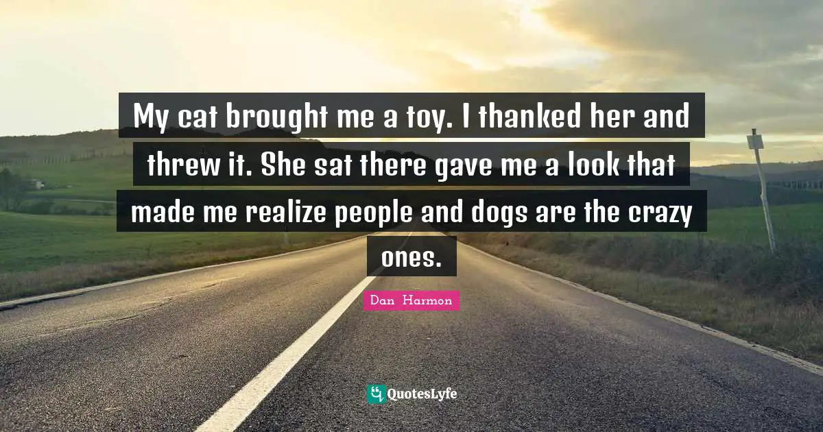 Dan  Harmon Quotes: "My cat brought me a toy. I thanked her and threw it. She sat there gave me a look that made me realize people and dogs are the crazy ones."
