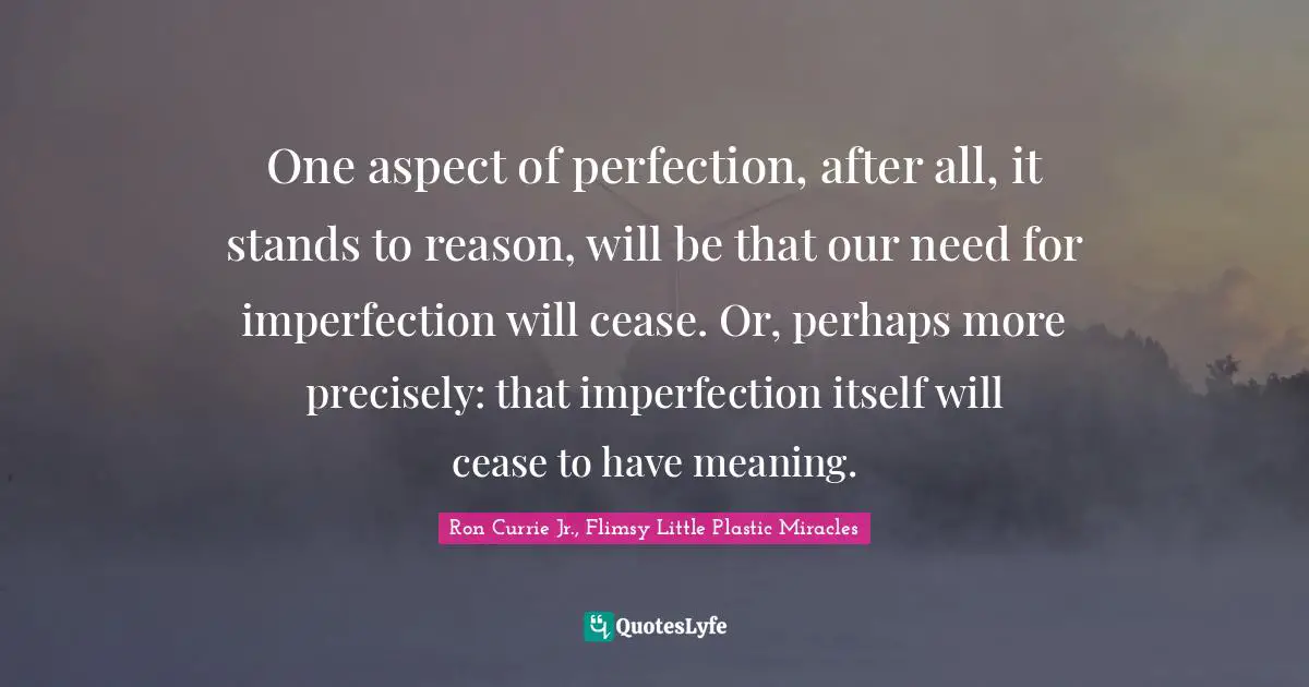 One aspect of perfection, after all, it stands to reason, will be that our need for imperfection will cease. Or, perhaps more precisely: that imperfection itself will cease to have meaning.