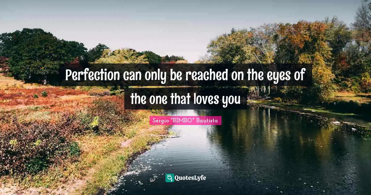 Perfection can only be reached on the eyes of the one that loves you