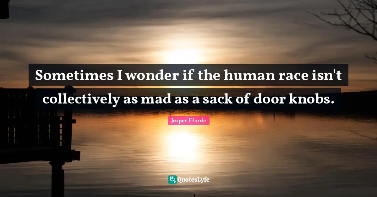 Sometimes I wonder if the human race isn't collectively as mad as a sack of door knobs.
