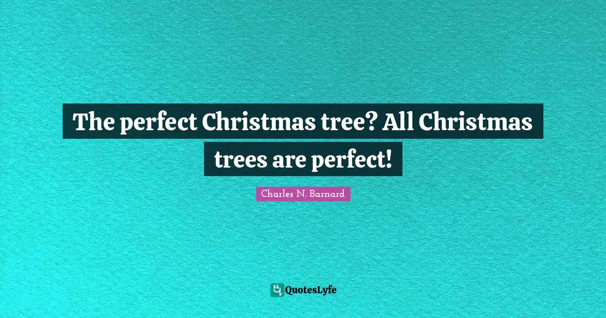 The perfect Christmas tree? All Christmas trees are perfect!