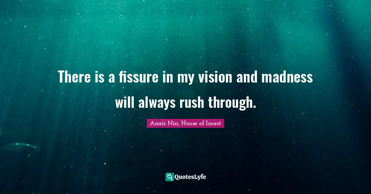 There is a fissure in my vision and madness will always rush through.