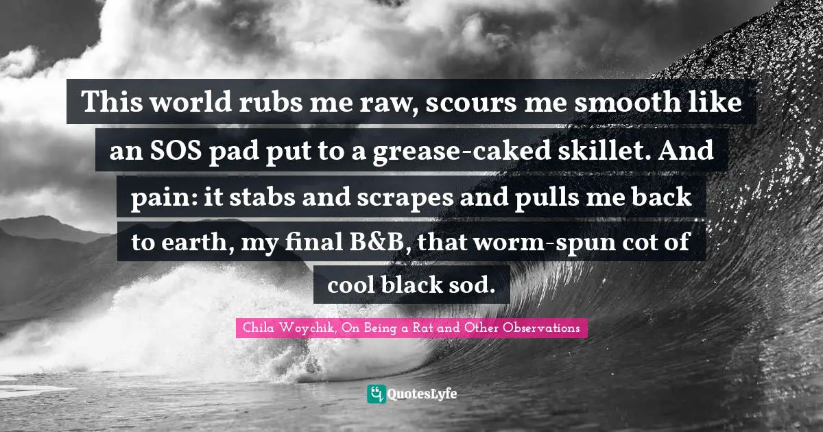 This world rubs me raw, scours me smooth like an SOS pad put to a grease-caked skillet. And pain: it stabs and scrapes and pulls me back to earth, my final B&B, that worm-spun cot of cool black sod.