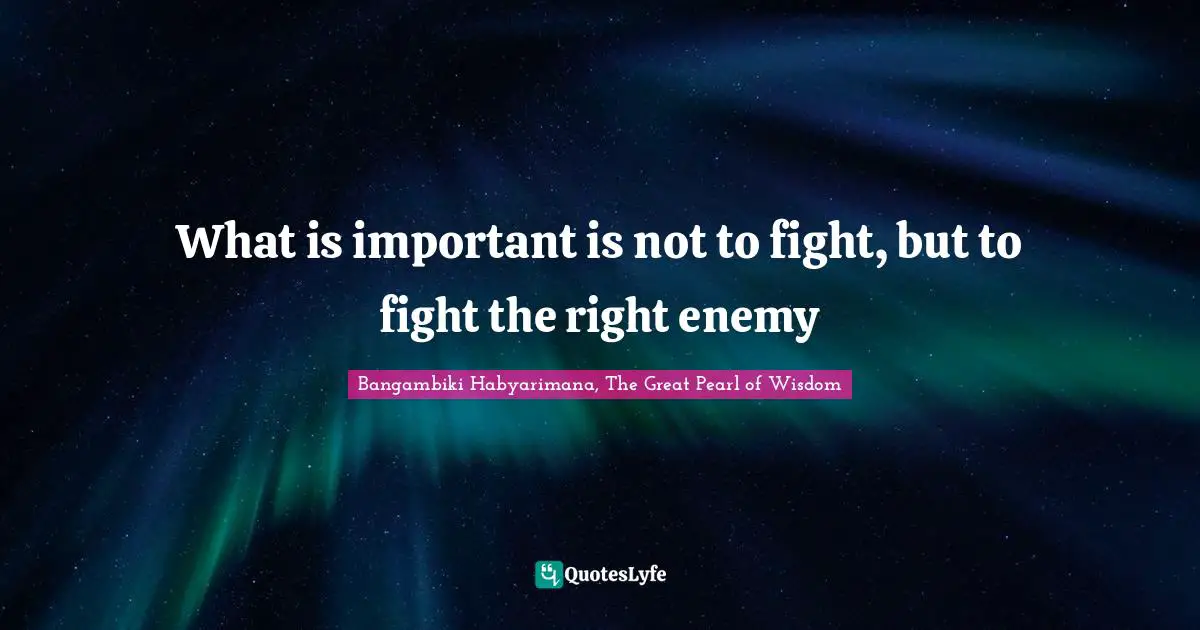 Battles Quotes: "What is important is not to fight, but to fight the right enemy"