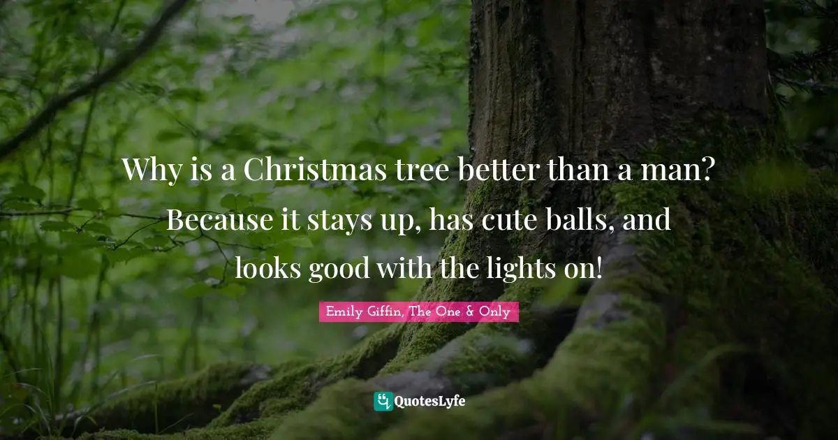 Why is a Christmas tree better than a man? Because it stays up, has cute balls, and looks good with the lights on!