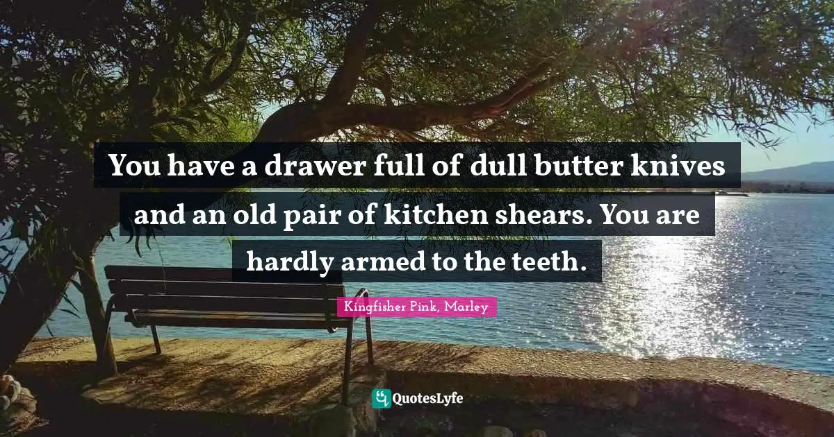 You have a drawer full of dull butter knives and an old pair of kitchen shears. You are hardly armed to the teeth.