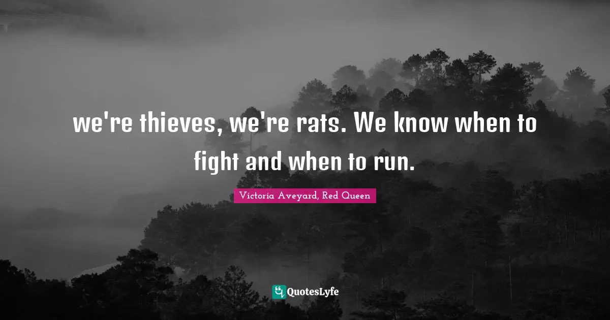 we're thieves, we're rats. We know when to fight and when to run.