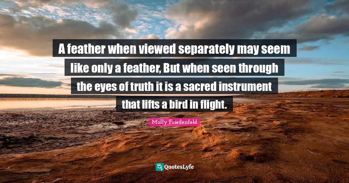 A feather when viewed separately may seem like only a feather, But when seen through the eyes of truth it is a sacred instrument that lifts a bird in flight.