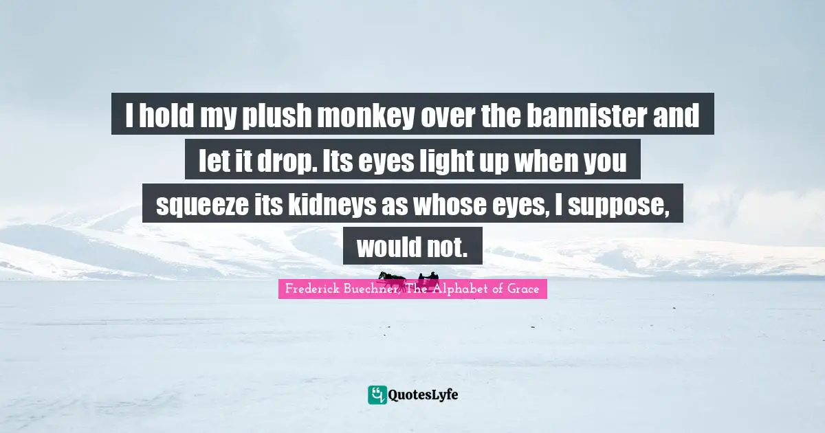 I hold my plush monkey over the bannister and let it drop. Its eyes light up when you squeeze its kidneys as whose eyes, I suppose, would not.