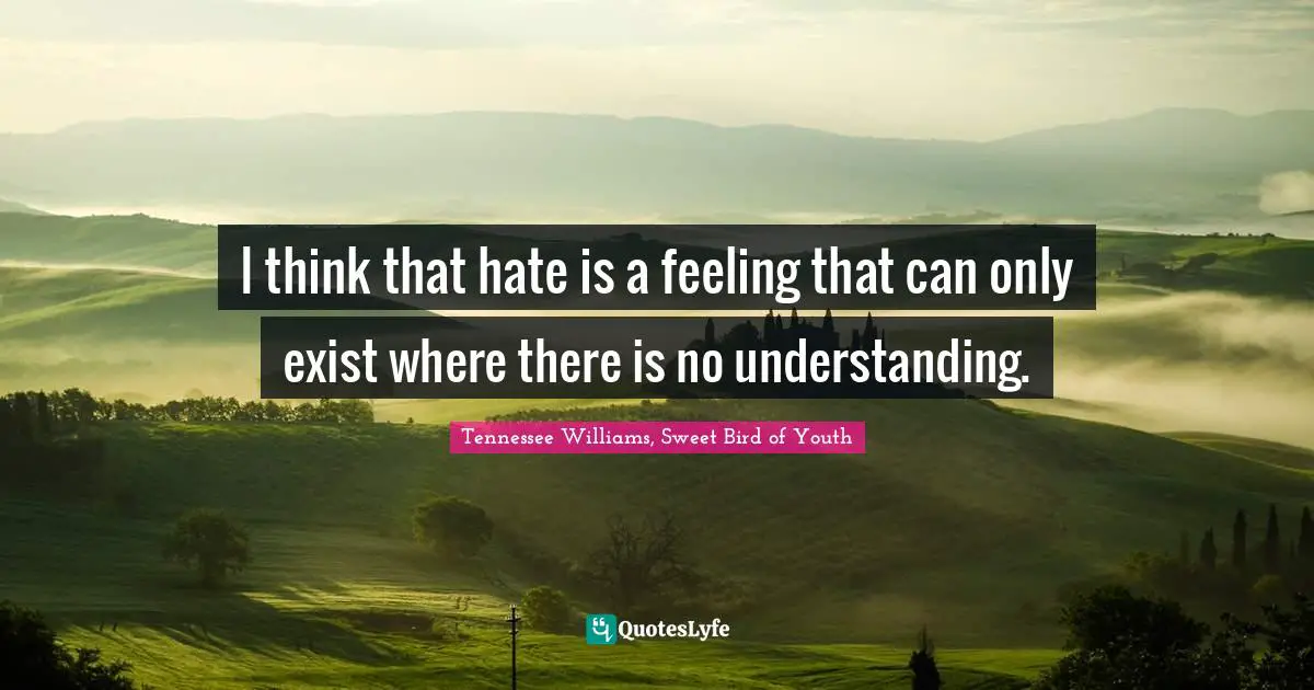 I think that hate is a feeling that can only exist where there is no understanding.