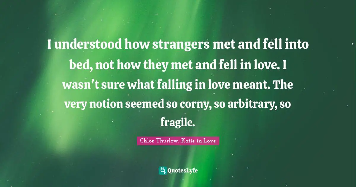 I understood how strangers met and fell into bed, not how they met and fell in love. I wasn't sure what falling in love meant. The very notion seemed so corny, so arbitrary, so fragile.
