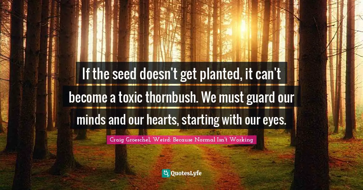 Craig Groeschel, Weird: Because Normal Isn't Working Quotes: "If the seed doesn't get planted, it can't become a toxic thornbush. We must guard our minds and our hearts, starting with our eyes."