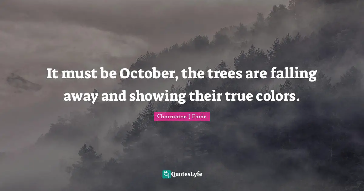 It must be October, the trees are falling away and showing their true colors.