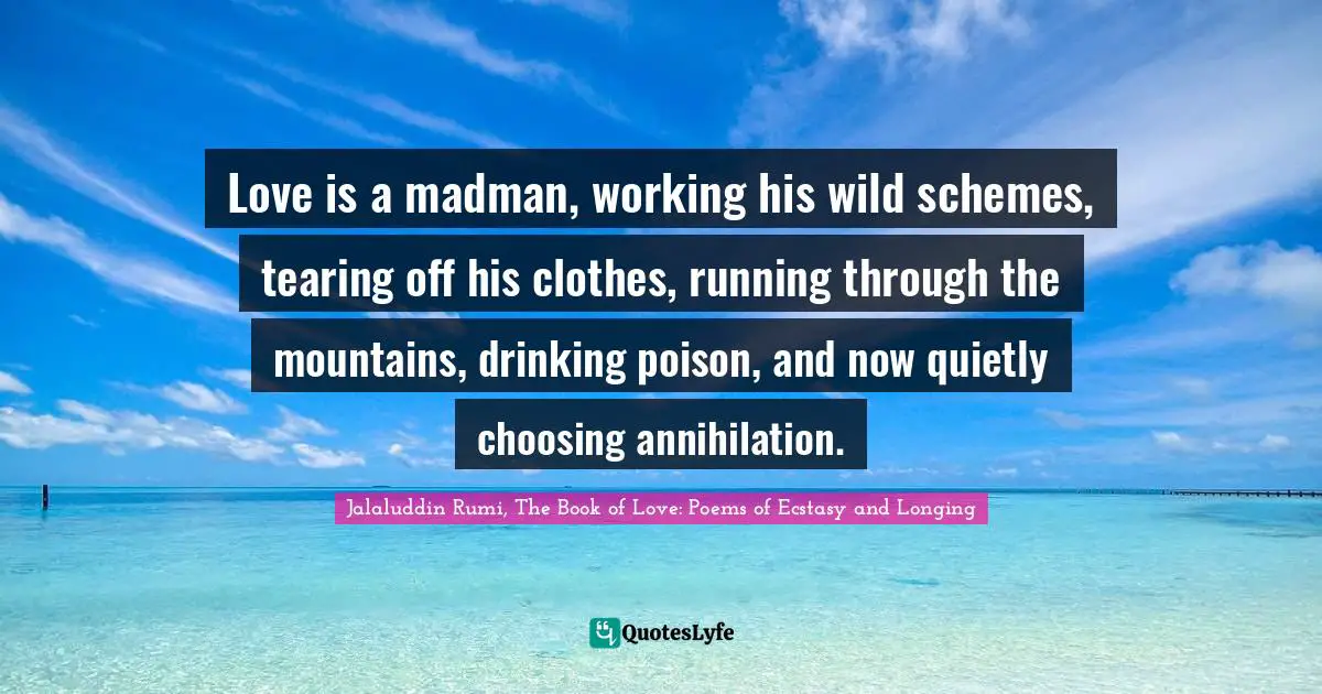 Love is a madman, working his wild schemes, tearing off his clothes, running through the mountains, drinking poison, and now quietly choosing annihilation.
