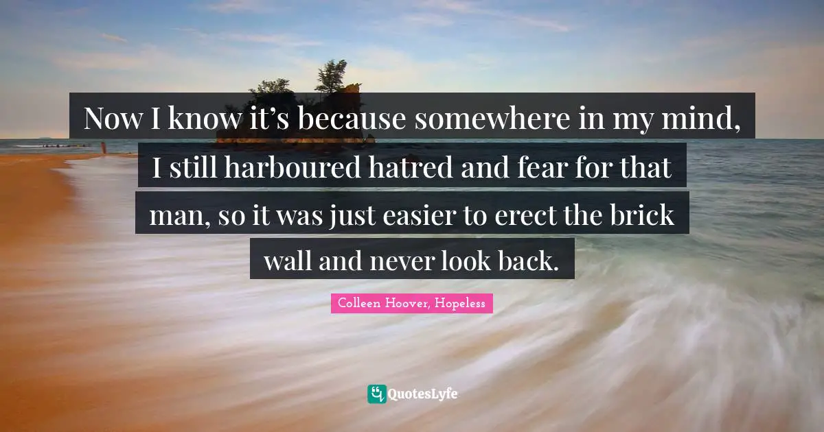 Colleen Hoover, Hopeless Quotes: Now I know it’s because somewhere in my mind, I still harboured hatred and fear for that man, so it was just easier to erect the brick wall and never look back.