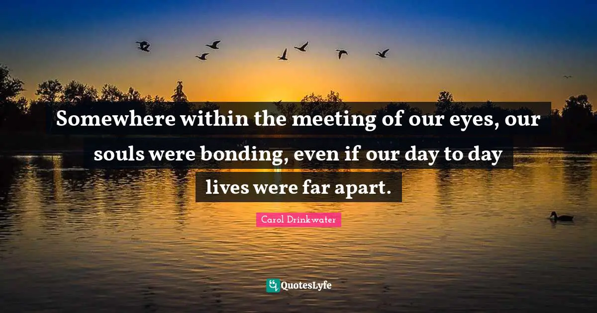 Somewhere within the meeting of our eyes, our souls were bonding, even if our day to day lives were far apart.