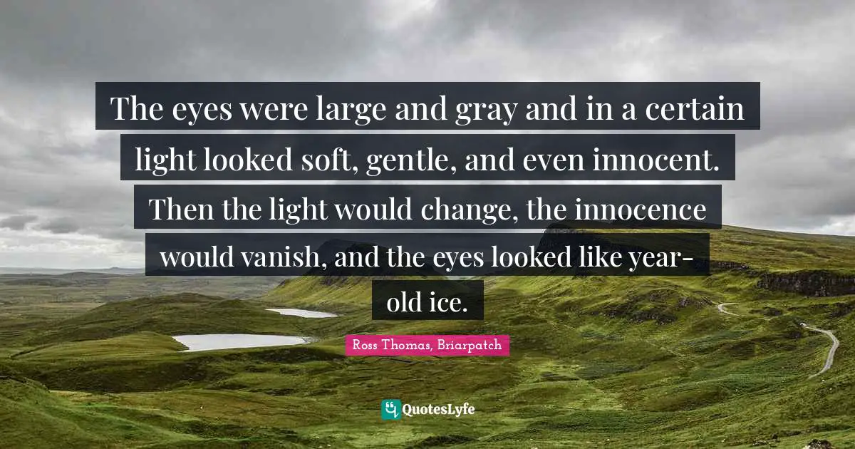The eyes were large and gray and in a certain light looked soft, gentle, and even innocent. Then the light would change, the innocence would vanish, and the eyes looked like year-old ice.