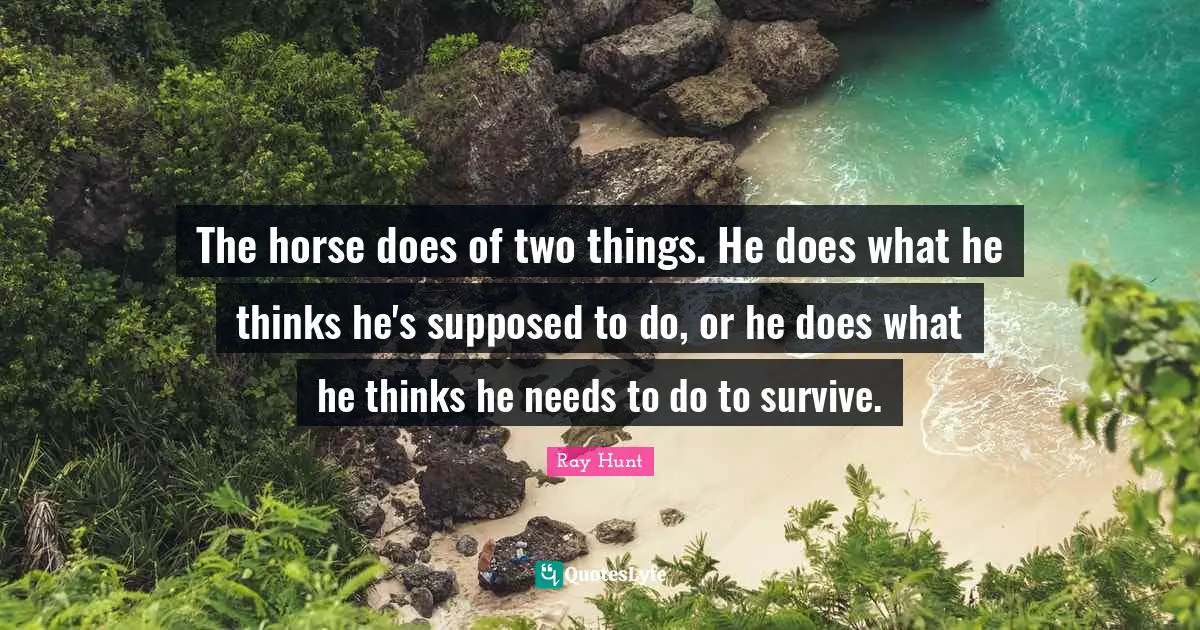 The horse does of two things. He does what he thinks he's supposed to do, or he does what he thinks he needs to do to survive.