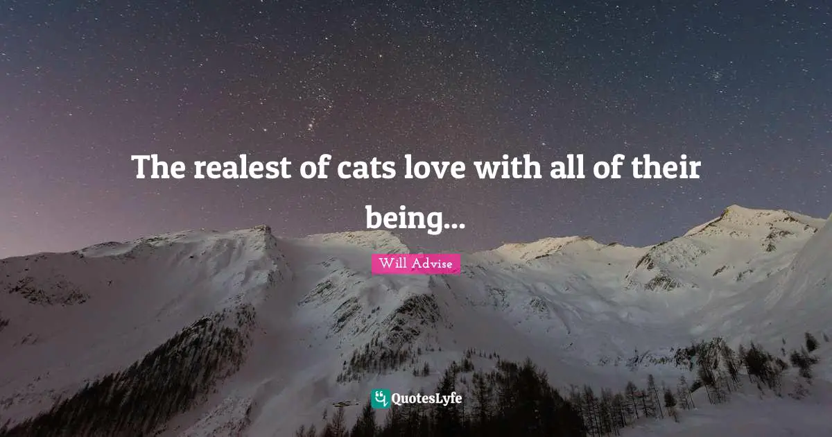 The realest of cats love with all of their being...