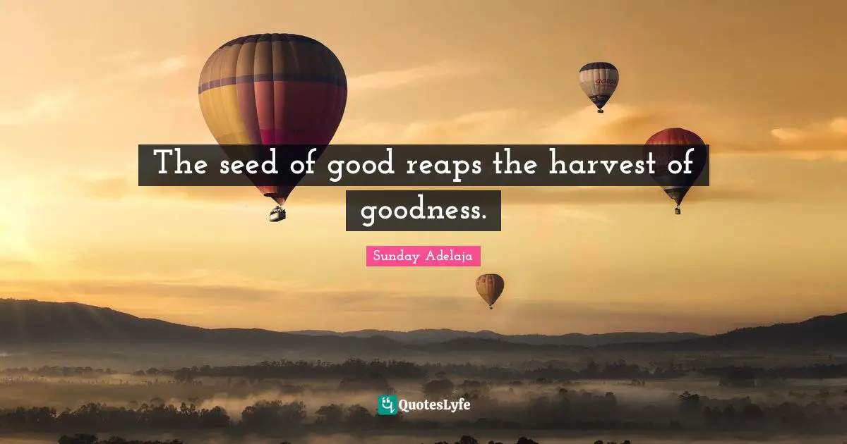 The seed of good reaps the harvest of goodness.
