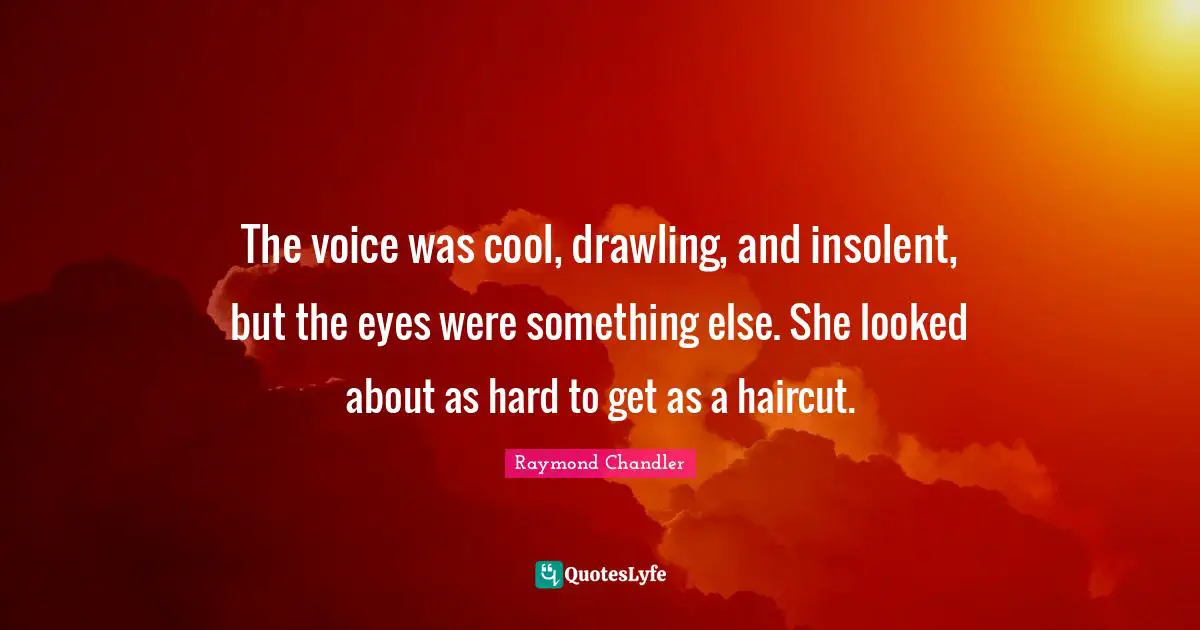The voice was cool, drawling, and insolent, but the eyes were something else. She looked about as hard to get as a haircut.