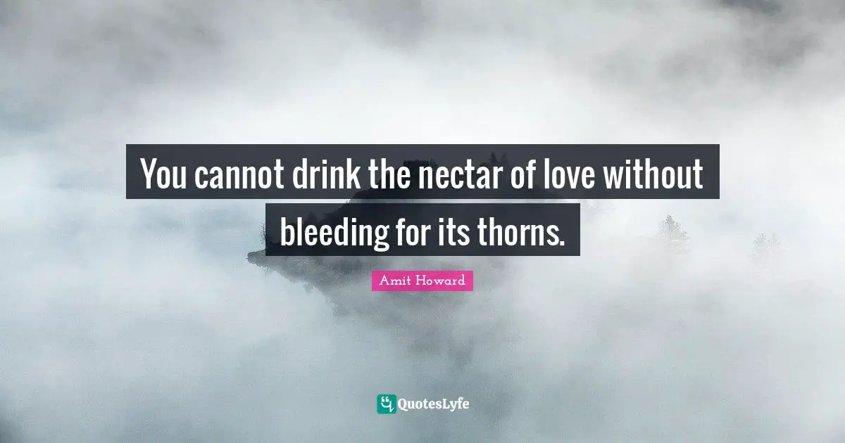 Amit Howard Quotes: "You cannot drink the nectar of love without bleeding for its thorns."