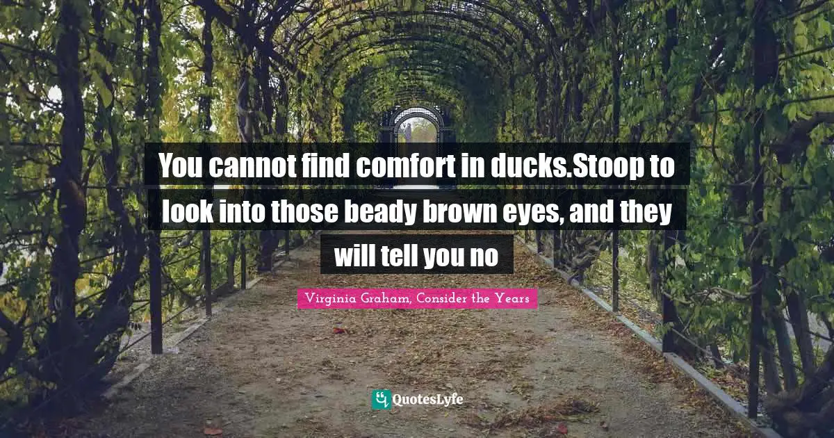 Inscrutability Quotes: "You cannot find comfort in ducks.Stoop to look into those beady brown eyes, and they will tell you no"