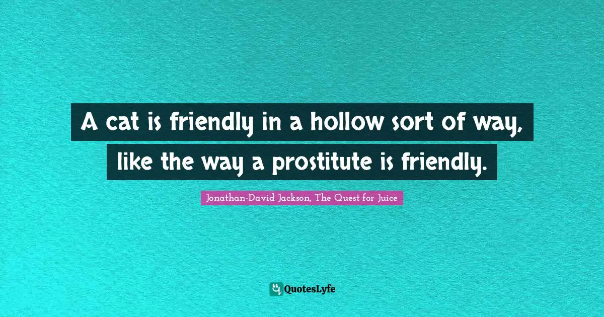 A cat is friendly in a hollow sort of way, like the way a prostitute is friendly.