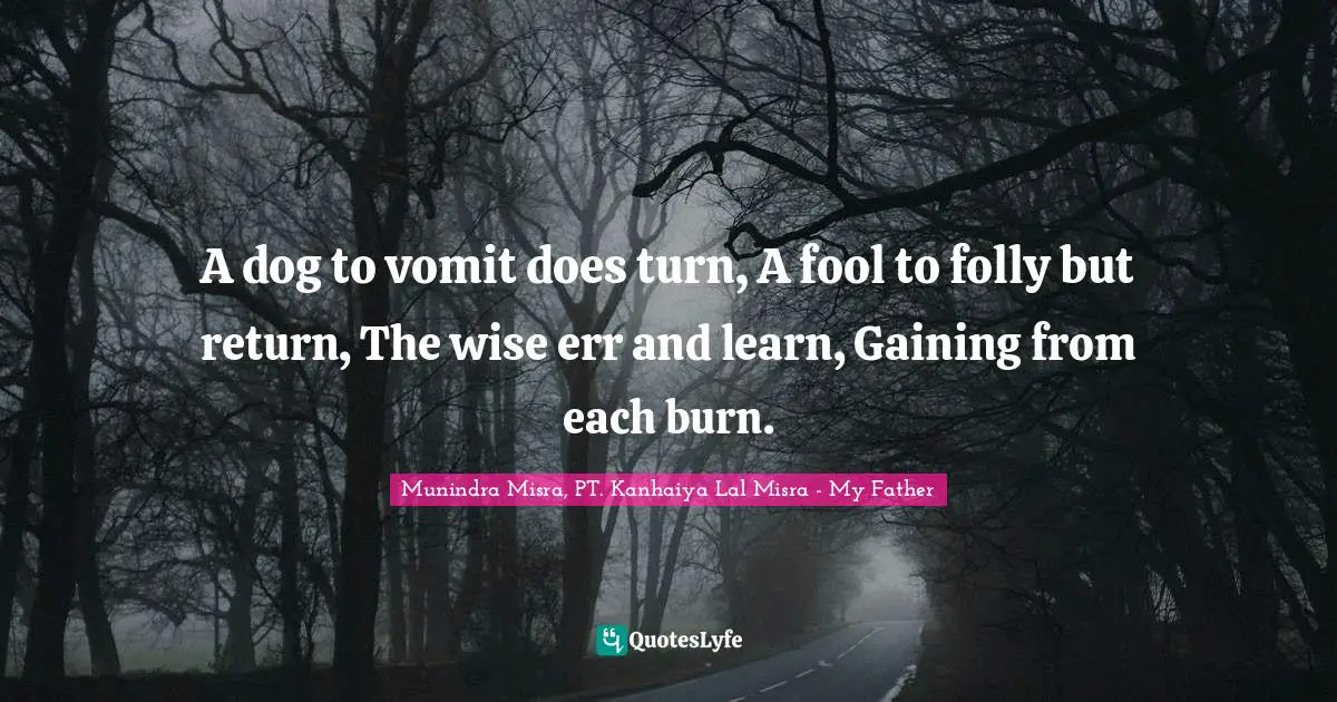 A dog to vomit does turn, A fool to folly but return, The wise err and learn, Gaining from each burn.