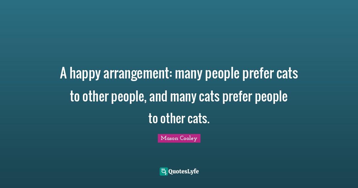 A happy arrangement: many people prefer cats to other people, and many cats prefer people to other cats.